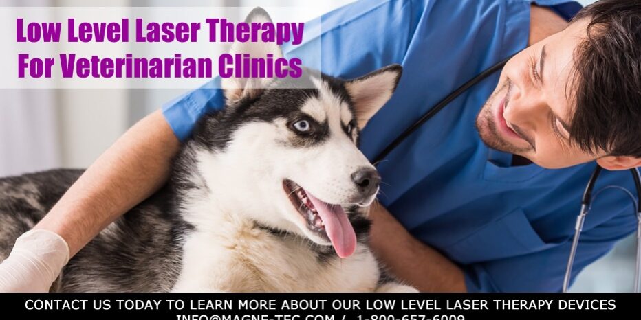 Veterinarian-Low-Level-Laser-Therapy-Post-MagneTec Veterinarian-Low-Level-Laser-Therapy-Post-MagneTec