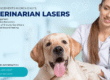 The Advancements of Erchonia Veterinarian Lasers